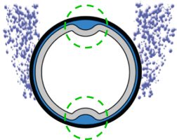 Cross section from a tube diffuser with water